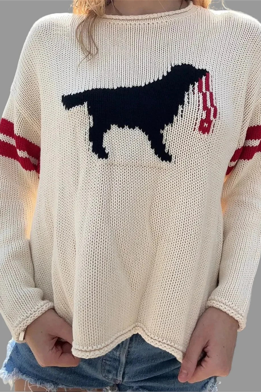 Dog Graphic Crew Neck Sweater