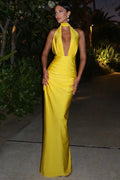 Glorol - Deep V Neck Sleeveless Backless Bodycon Maxi Dress