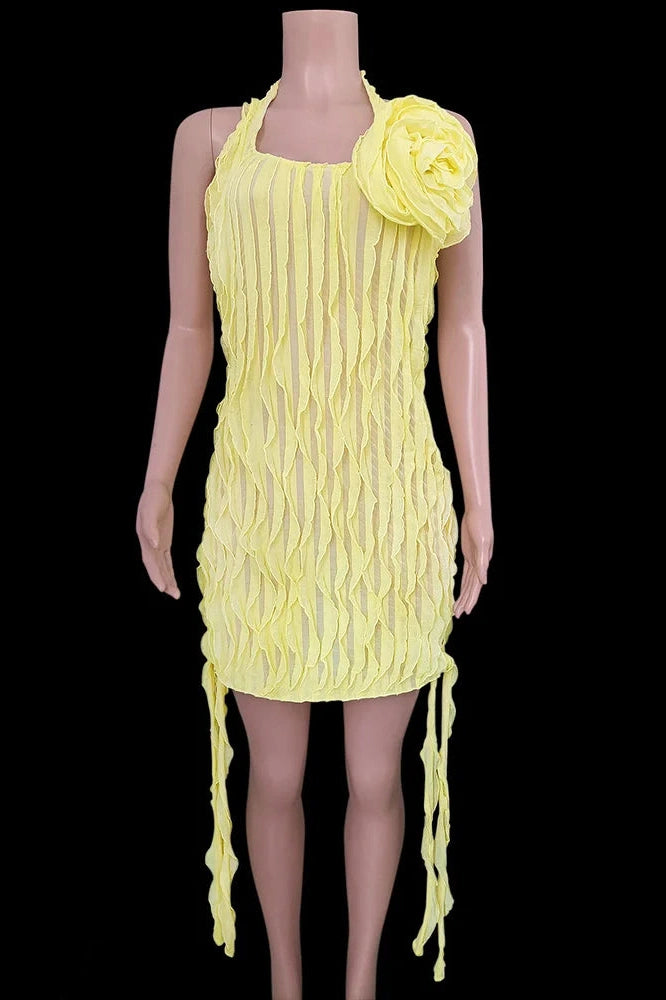 Glorol - Elegant Pleated Mesh See-Through Slim Mini Dress