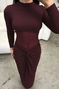 Glorol - Hollow Out Slim Long Sleeve Pleated High Collar Maxi Dress