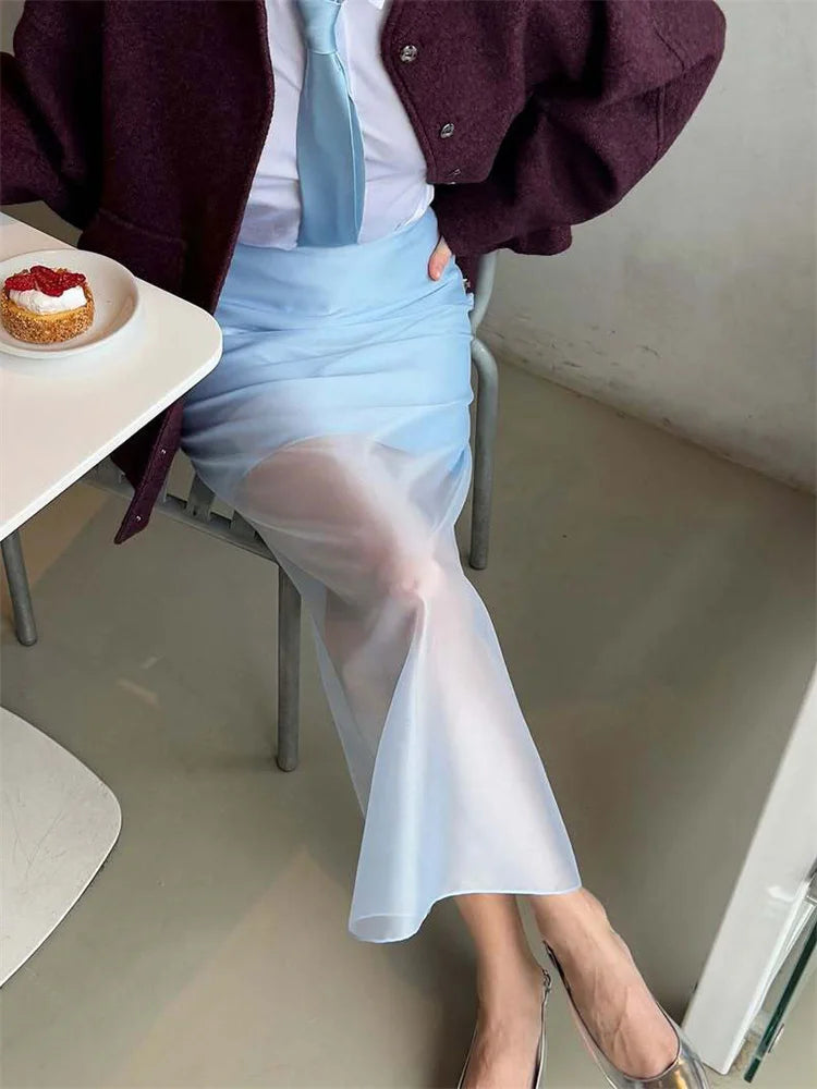 Glorol - High Waist Patchwork See-Through Skirt