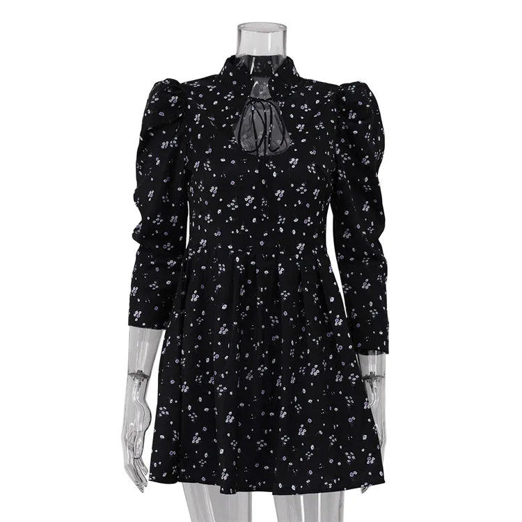 Glorol - Printed Lace Up High Waist A-Line Mini Dress