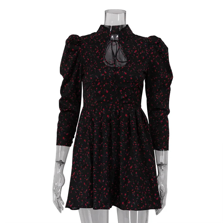 Glorol - Printed Lace Up High Waist A-Line Mini Dress