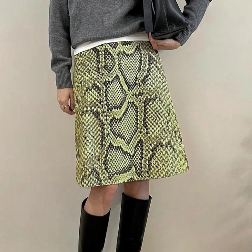 Glorol - High Waist A-Line Serpentine Print Skirt