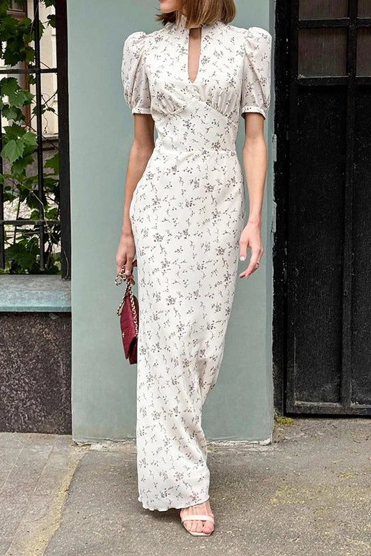 Short Sleeve Printed High Collar Slim Maxi Dress
