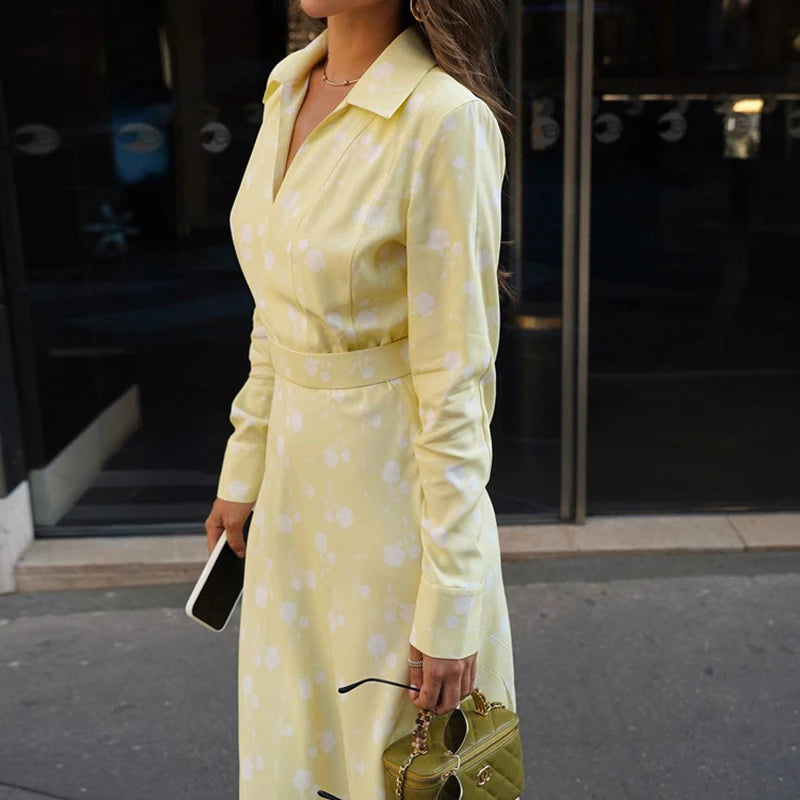 Glorol - Printed V Neck Long Sleeve A-Line Maxi Dress