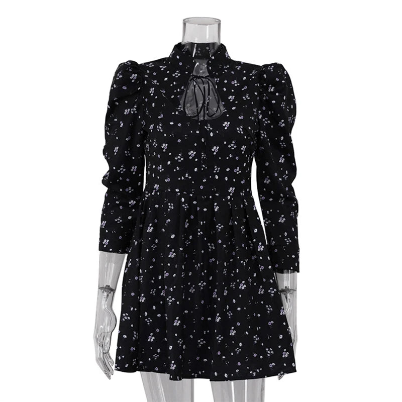 Glorol - Printed Lace Up High Waist A-Line Mini Dress