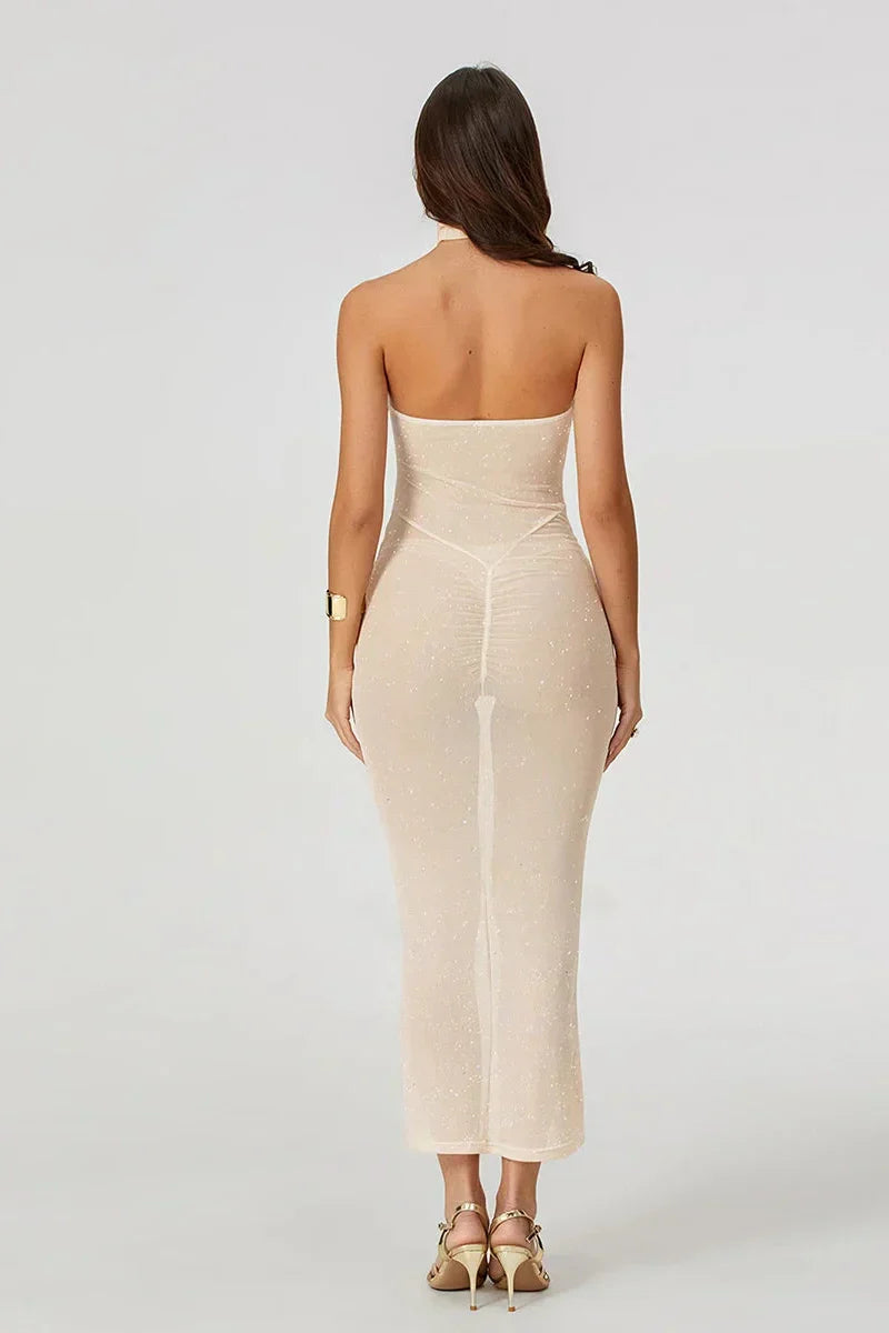 Strapless Bodycon See-Through Maxi Dress