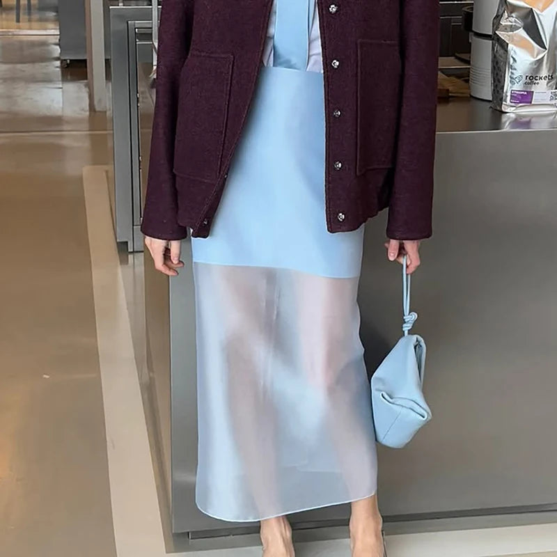 Glorol - High Waist See-Through Skirt