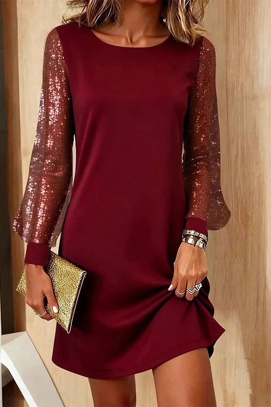 Glorol - Long Sleeve O-Neck High Waist A-Line Mini Dress