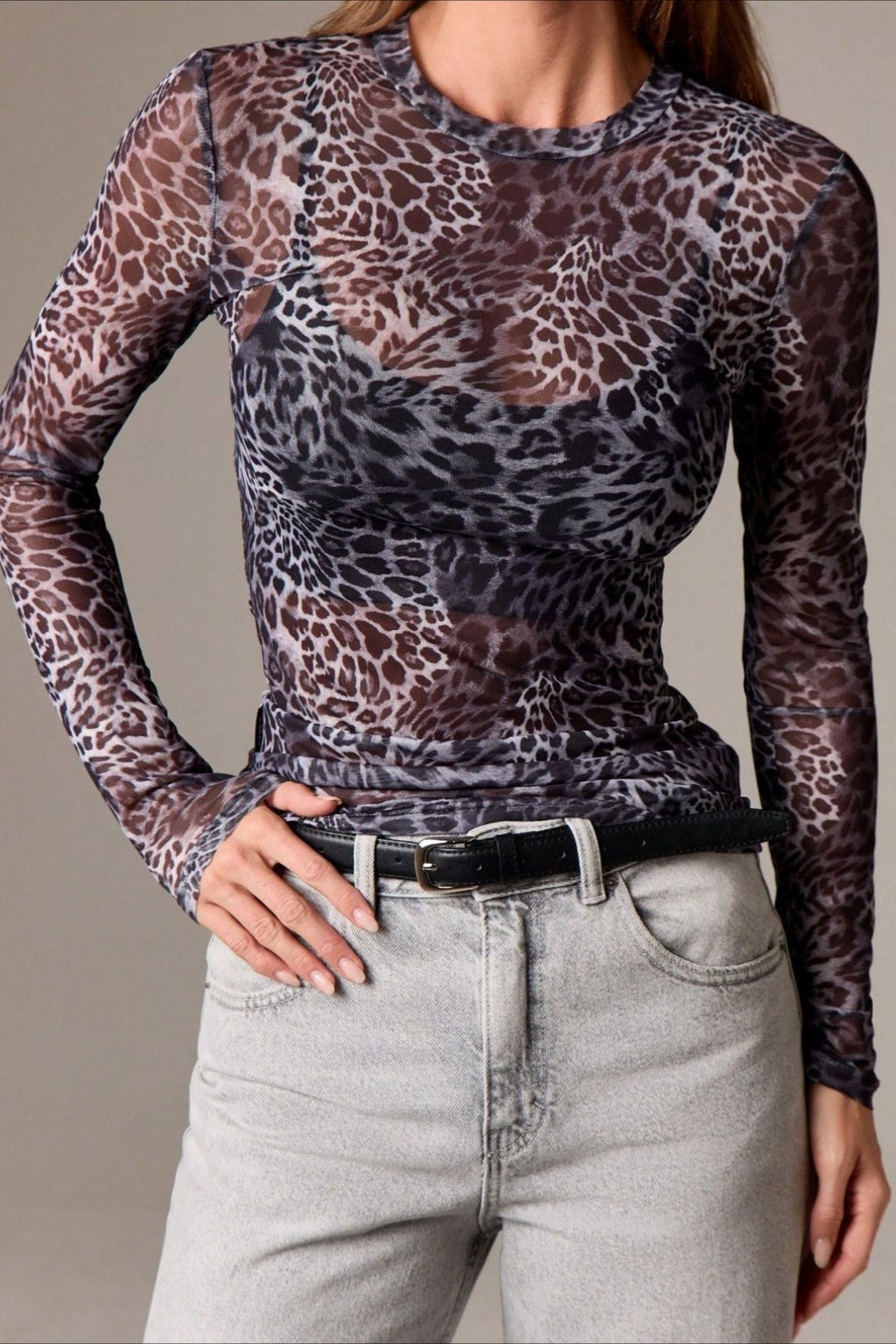 Ombre Leopard Print Mesh Top