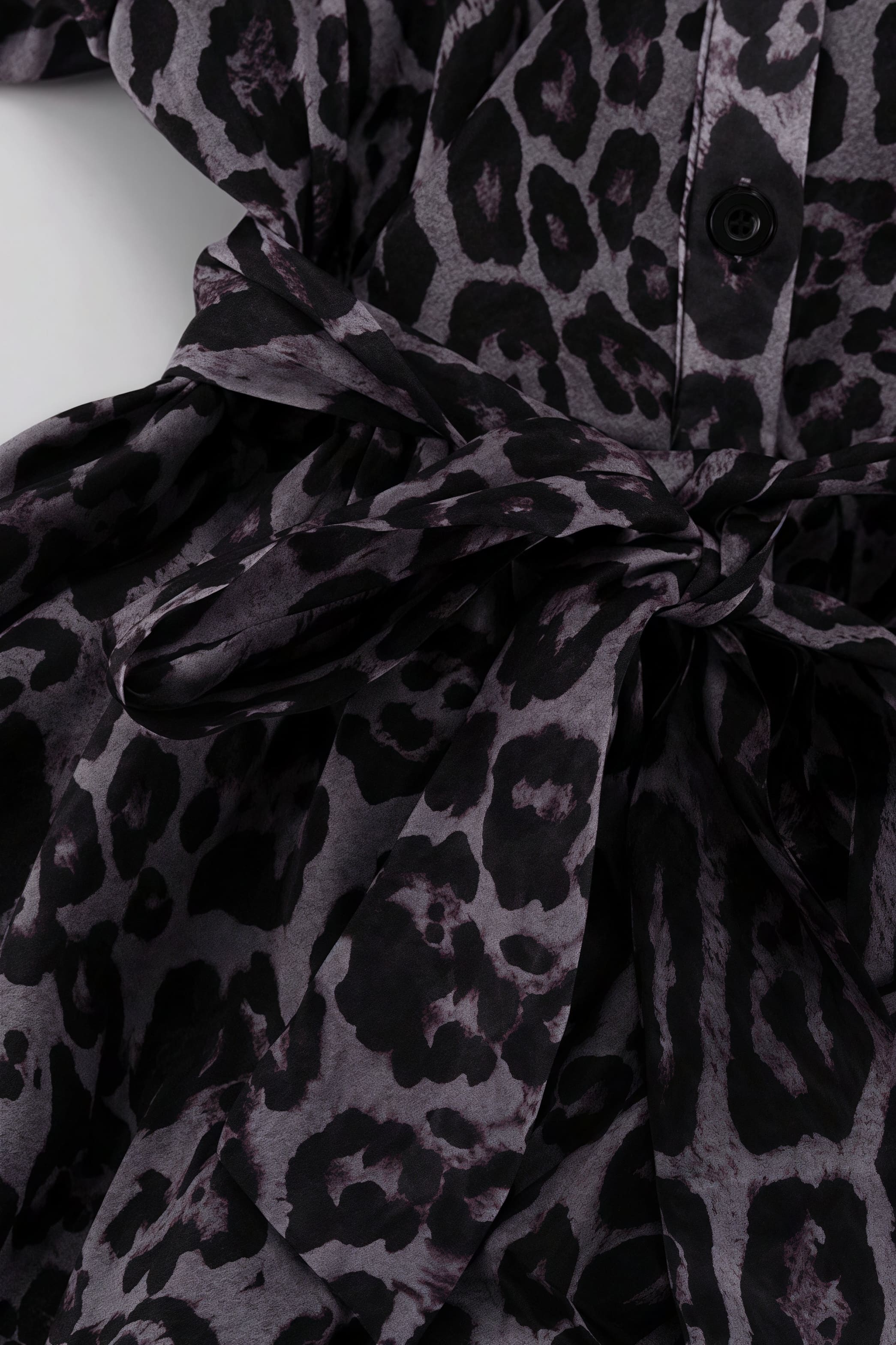 Chiffon Leopard Print Long Sleeve Mini Dress