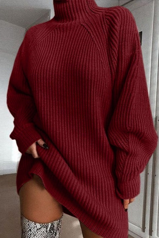 Relaxed Raglan Sleeve Turtleneck Sweater Dress